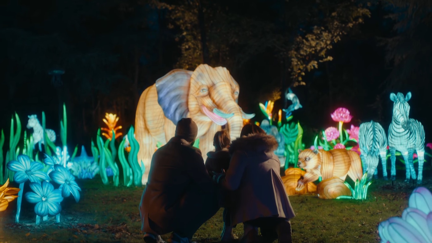Lanterns of the Wild
